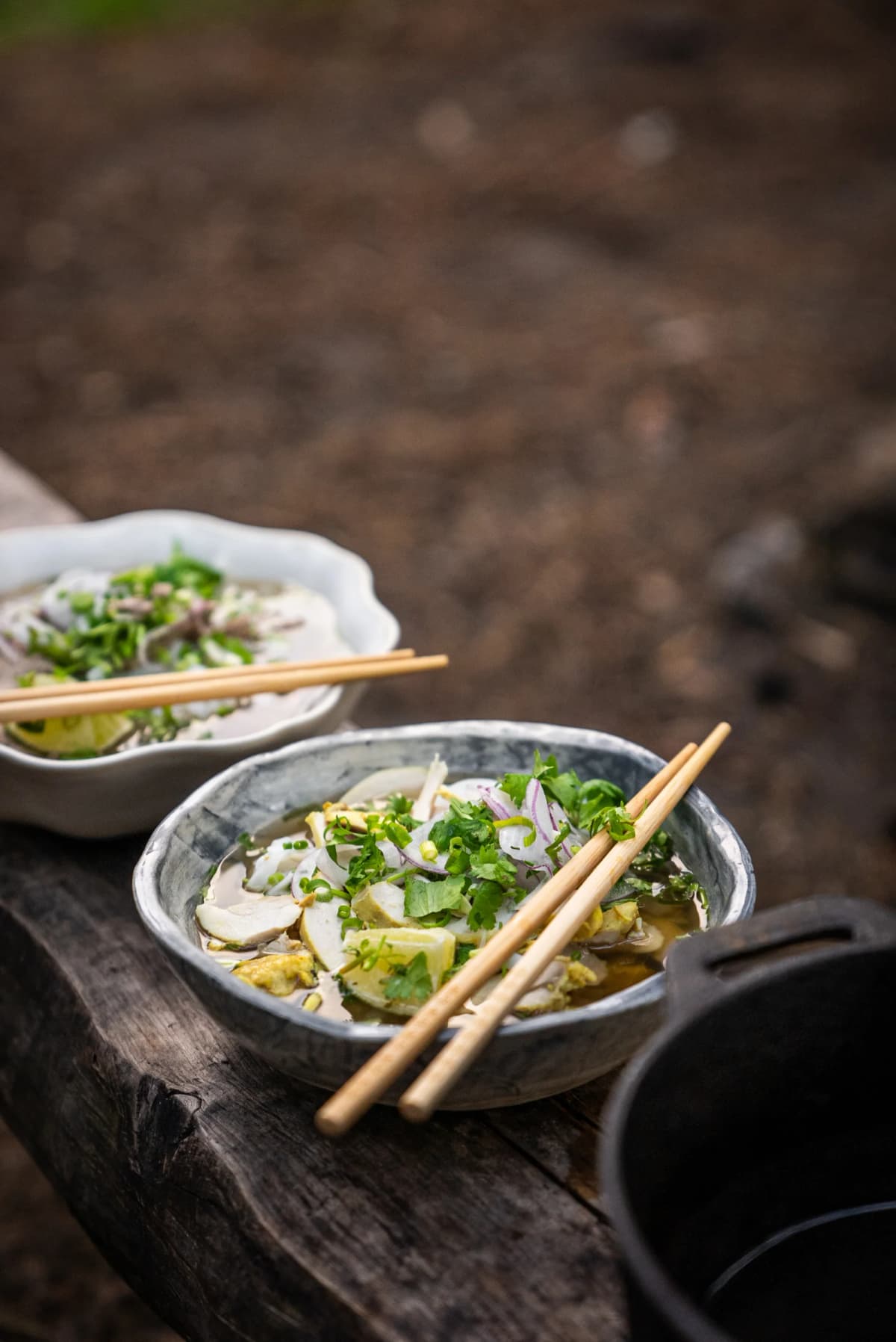Authentic Vietnamese Pho Soups